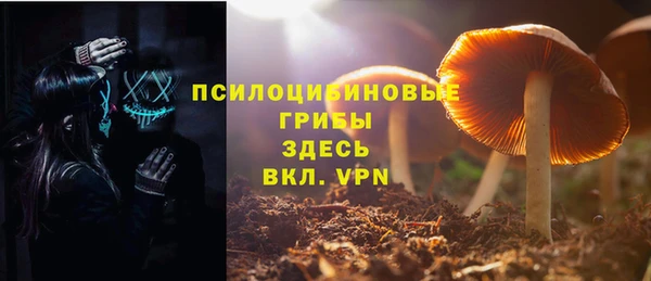 сатива Заволжск